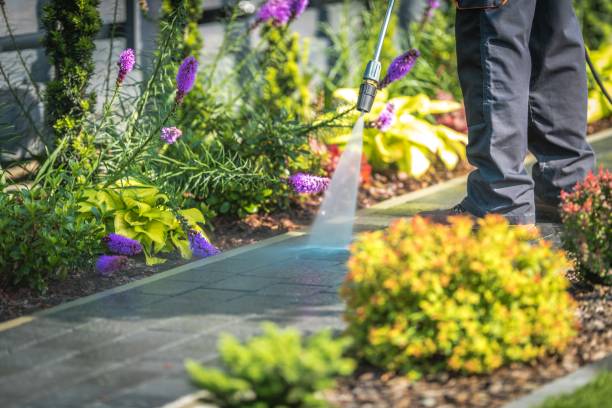 Best Sidewalk and Walkway Cleaning  in Raton, NM