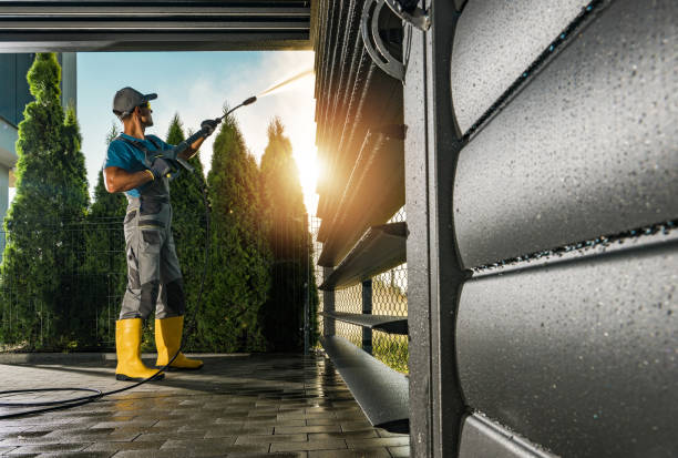 Best Gutter Cleaning  in Raton, NM